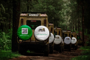 Zanzibar: 9-Day Spice Island & Safari Journey