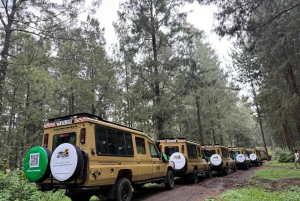 Zanzibar: 9-Day Spice Island & Safari Journey