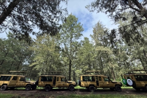 Zanzibar: 9-Day Spice Island & Safari Journey