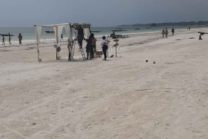Traslado de Zanzibar: Transferências perfeitas de hotel para hotel