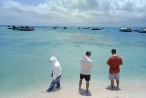 Zanzibar: Afrikas paradis Fullständiga sightseeingpaketresor