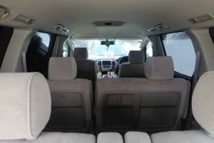 Zanzibar: odbiór z lotniska i prywatna taksówka do dowolnego miejsca