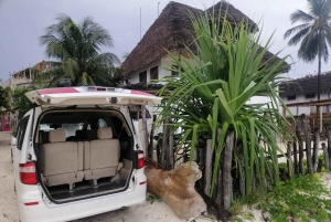 Zanzibar: odbiór z lotniska i prywatna taksówka do dowolnego miejsca