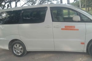 Zanzibar: Airport Taxi to Michamvi