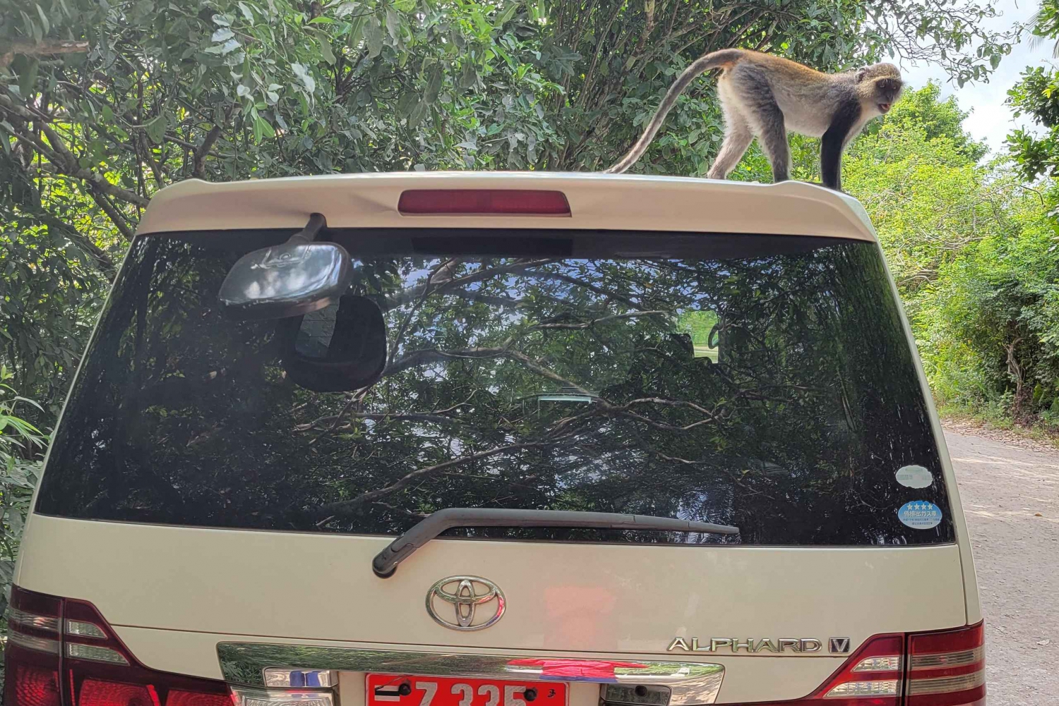 Zanzibar: Airport Taxi Transfers to Stone Town Hotels