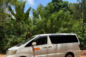 Zanzibar lufthavn til Nungwi (eller Nungwi til flyplassen)