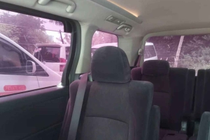 Zanzibar lufthavn til Nungwi (eller Nungwi til flyplassen)