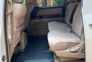 Zanzibar lufthavn til Nungwi (eller Nungwi til flyplassen)