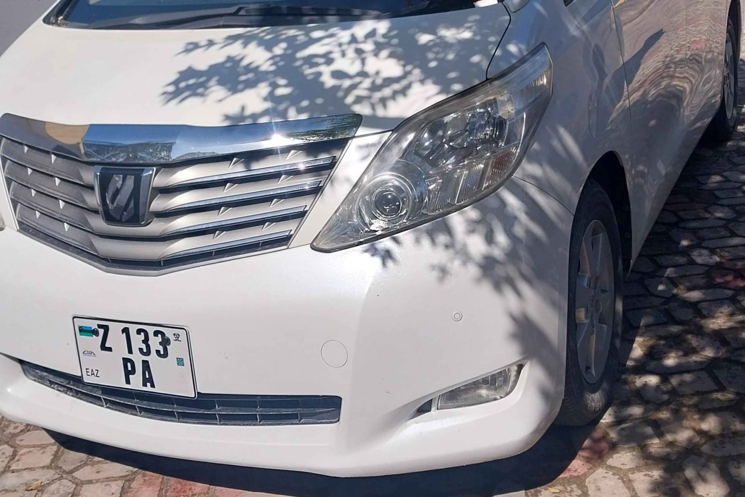 Zanzibar: trasferimento aeroportuale