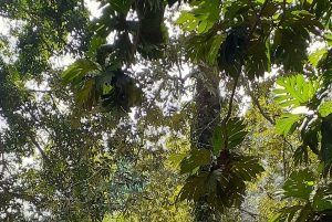 Zanzibar: Lufthavnstransport til hoteller i Stone Town