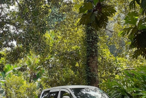 Sansibar: Flughafentransfer zu Hotels in Stone Town