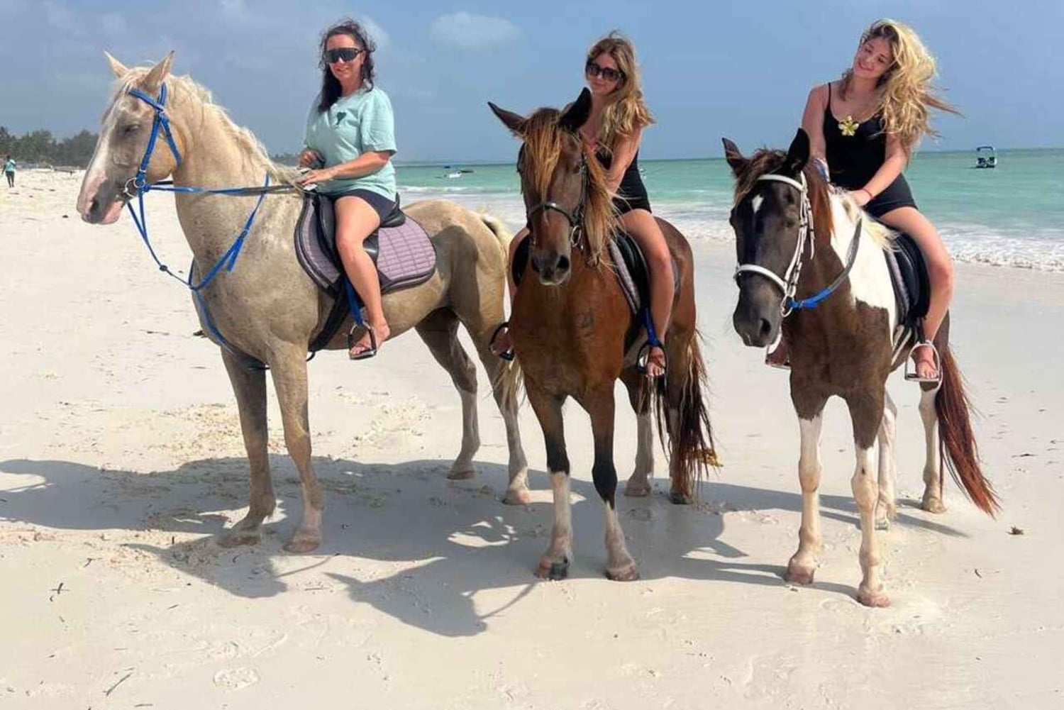 ZANZIBAR: Amazing Horsesback riding at michamvi with Pickup