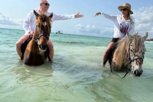 ZANZIBAR: Amazing Horsesback riding at michamvi with Pickup