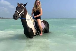 ZANZIBAR: Amazing Horsesback riding at michamvi with Pickup