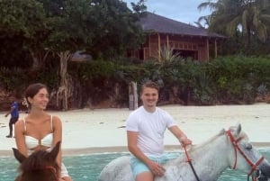 ZANZIBAR: Amazing Horsesback riding at michamvi with Pickup