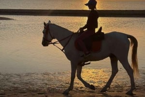ZANZIBAR: Amazing Horsesback riding at michamvi with Pickup