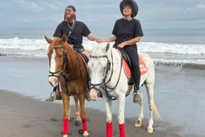 ZANZIBAR: Amazing Horsesback riding at michamvi with Pickup