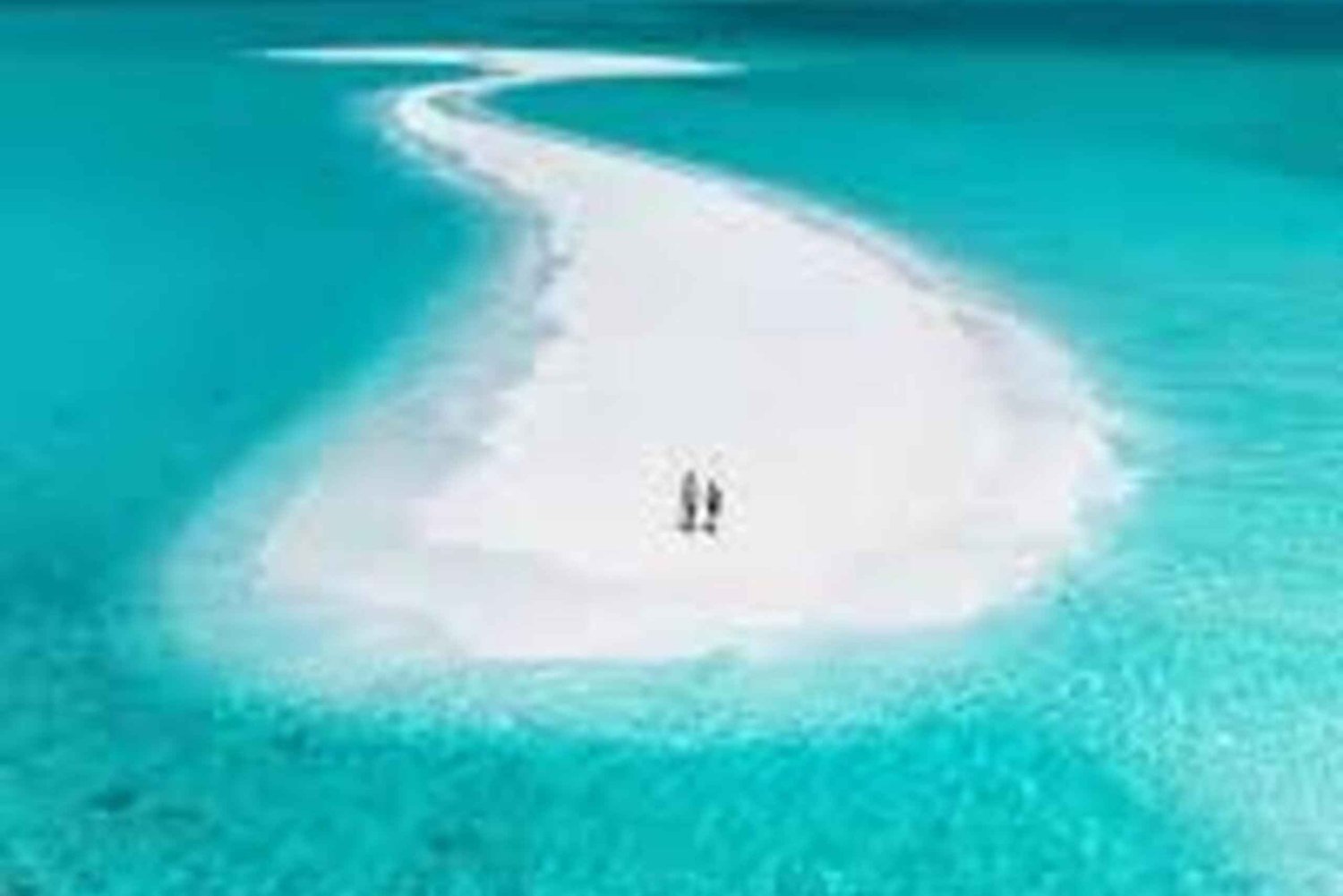 ZANZIBAR: Fantastico tour Nakupenda SandBank con frutta