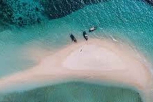 ZANZÍBAR: Increíble excursión al banco de arena Nakupenda con frutas.