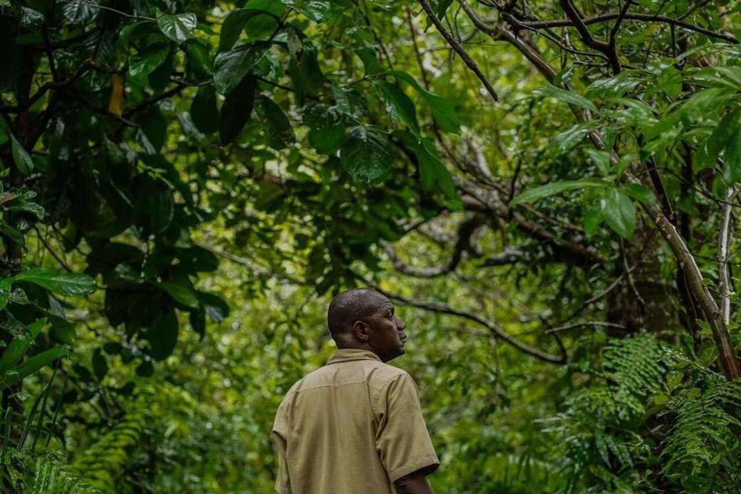 Sansibar: Jozani-Wald, Swahili-Höhle und Mtende Beach Tour