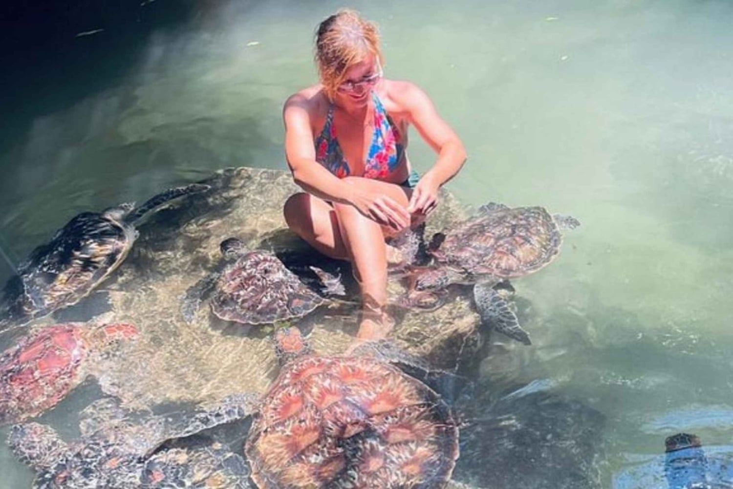 Zanzibar: Baraka Aquarium Feed, Swim & Snorkel with Turtles