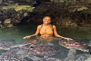 Sansibar: Baraka Aquarium Füttern, Schwimmen und Schnorcheln mit Schildkröten