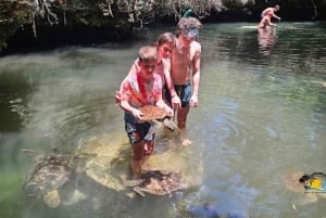 Sansibar: Baraka Aquarium Füttern, Schwimmen und Schnorcheln mit Schildkröten