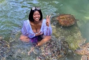 Sansibar: Baraka Aquarium Füttern, Schwimmen und Schnorcheln mit Schildkröten