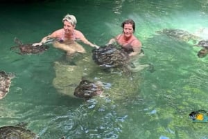 Sansibar: Baraka Aquarium Füttern, Schwimmen und Schnorcheln mit Schildkröten