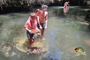 Zanzibar: Baraka Aquarium Feed, Swim & Snorkel with Turtles