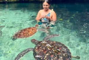 Zanzibar: Baraka Aquarium Feed, Swim & Snorkel with Turtles