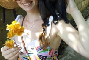 Занзибар: аквариум Baraka, морские черепахи и зоопарк Nungwi Kilosa