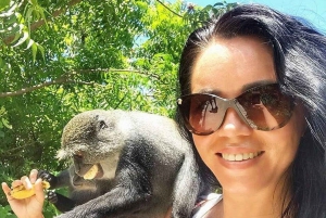 Занзибар: аквариум Baraka, морские черепахи и зоопарк Nungwi Kilosa