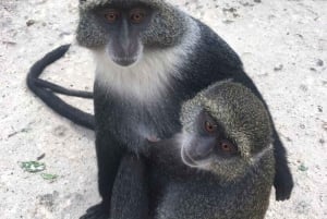 Занзибар: аквариум Baraka, морские черепахи и зоопарк Nungwi Kilosa