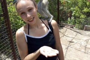 Занзибар: аквариум Baraka, морские черепахи и зоопарк Nungwi Kilosa