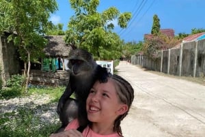 Занзибар: аквариум Baraka, морские черепахи и зоопарк Nungwi Kilosa