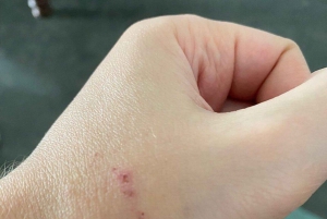 Занзибар: аквариум Baraka, морские черепахи и зоопарк Nungwi Kilosa