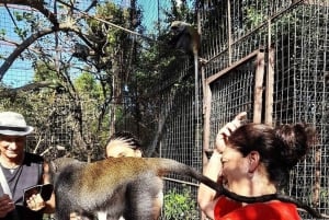 Занзибар: аквариум Baraka, морские черепахи и зоопарк Nungwi Kilosa