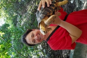 Занзибар: аквариум Baraka, морские черепахи и зоопарк Nungwi Kilosa