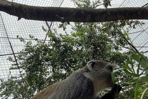 Занзибар: аквариум Baraka, морские черепахи и зоопарк Nungwi Kilosa