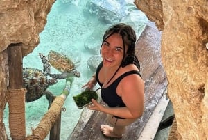 Занзибар: аквариум Baraka, морские черепахи и зоопарк Nungwi Kilosa