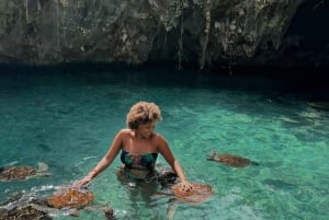 Занзибар: аквариум Baraka, морские черепахи и зоопарк Nungwi Kilosa