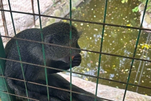 Занзибар: аквариум Baraka, морские черепахи и зоопарк Nungwi Kilosa