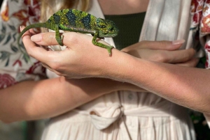 Zanzibar: Baraka Aquarium Zeeschildpadden & Nungwi Kilosa Zoo