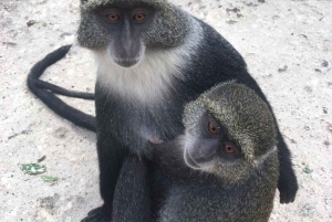 Zanzibar: Baraka Aquarium Zeeschildpadden & Nungwi Kilosa Zoo