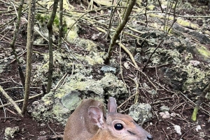 Zanzibar: Baraka Aquarium Zeeschildpadden & Nungwi Kilosa Zoo