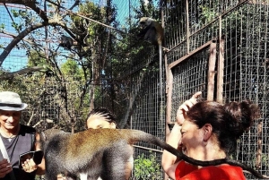 Zanzibar: Baraka Aquarium Zeeschildpadden & Nungwi Kilosa Zoo