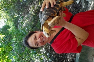 Zanzibar: Baraka Aquarium Zeeschildpadden & Nungwi Kilosa Zoo