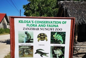Zanzibar: Baraka Aquarium Zeeschildpadden & Nungwi Kilosa Zoo