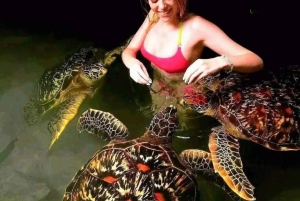 Zanzibar: Baraka Aquarium Zeeschildpadden & Nungwi Kilosa Zoo